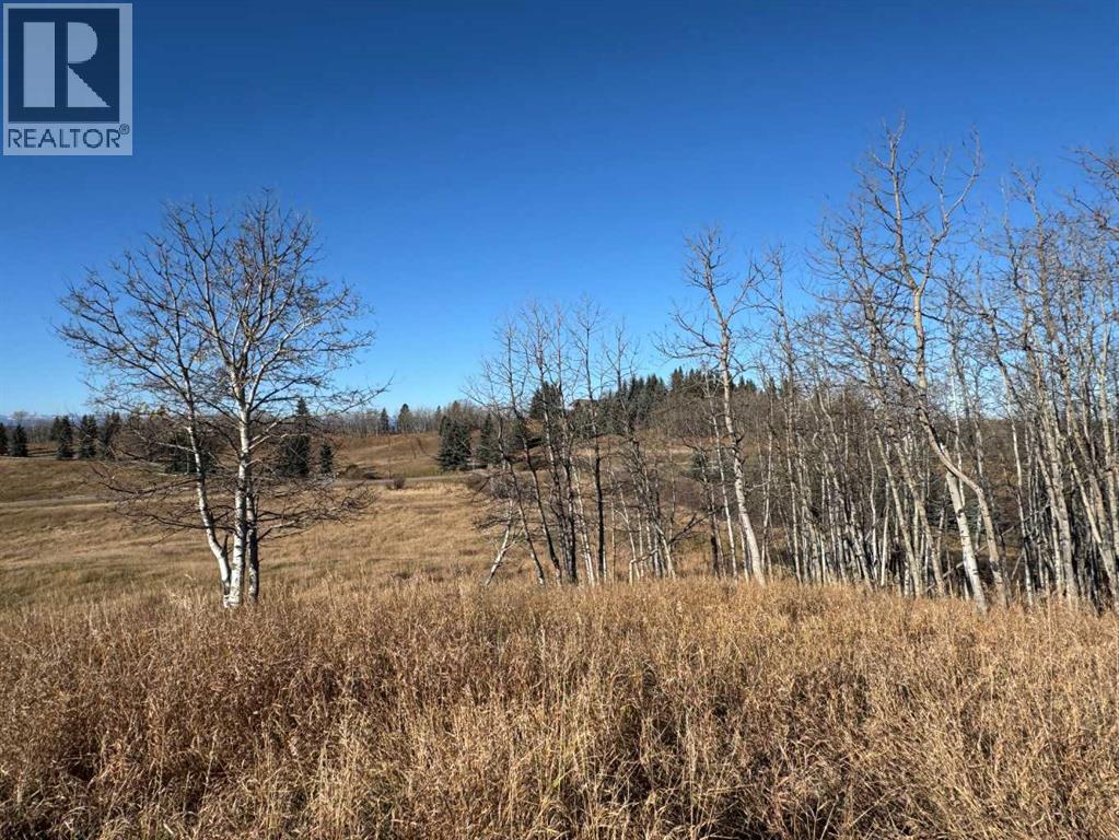 ON 264 Avenue W, Rural Foothills County — photo 10