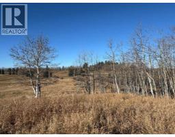 On 264 Avenue W, Rural Foothills County, AB T1S5H9 Photo 10