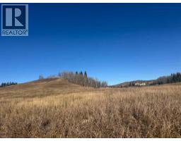 On 264 Avenue W, Rural Foothills County, AB T1S5H9 Photo 16