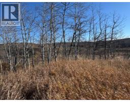 On 264 Avenue W, Rural Foothills County, AB T1S5H9 Photo 8