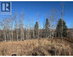 On 264 Avenue W, Rural Foothills County, AB T1S5H9 Photo 9