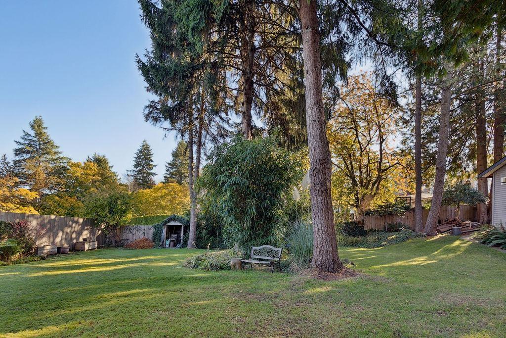 13231 112B Avenue, Surrey — photo 23