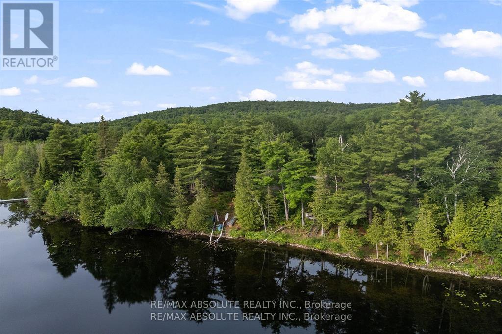 754B FERGUSON LAKE ROAD, Greater Madawaska — photo 5