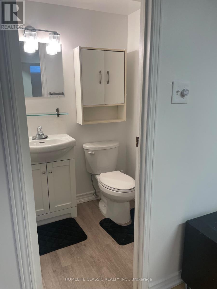 LOWER - 102 CHURCH STREET S, Richmond Hill (Crosby) — photo 11