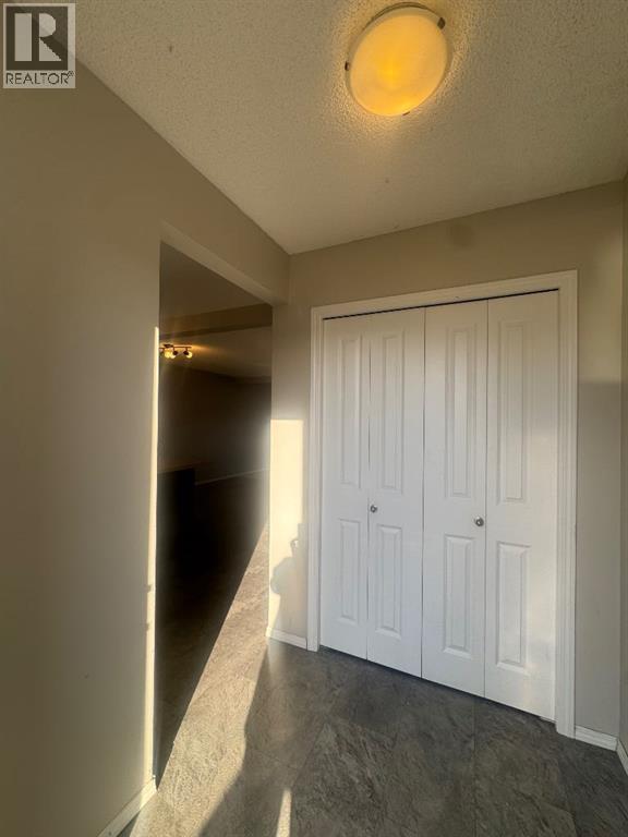 273 Southfork Drive, Leduc — photo 13
