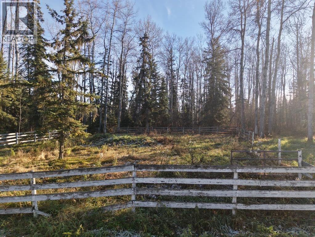 861070 HWY 743, Rural Northern Lights, County of — photo 6