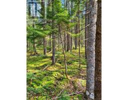 Lot 26-02 Bateman Mill Road, Saint Philippe, NB E1H1T3 Photo 11