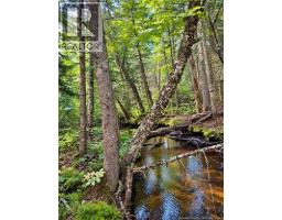 Lot 26-02 Bateman Mill Road, Saint Philippe, NB E1H1T3 Photo 6
