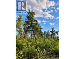 Lot 26-02 Bateman Mill Road, Saint Philippe, NB E1H1T3 Photo 8