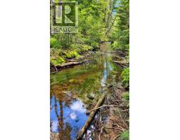 Lot 26-02 Bateman Mill Road, Saint Philippe, NB E1H1T3 Photo 9