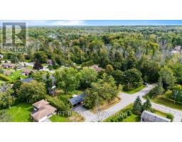 65 George Road, Georgina, ON L0E1R0 Photo 40
