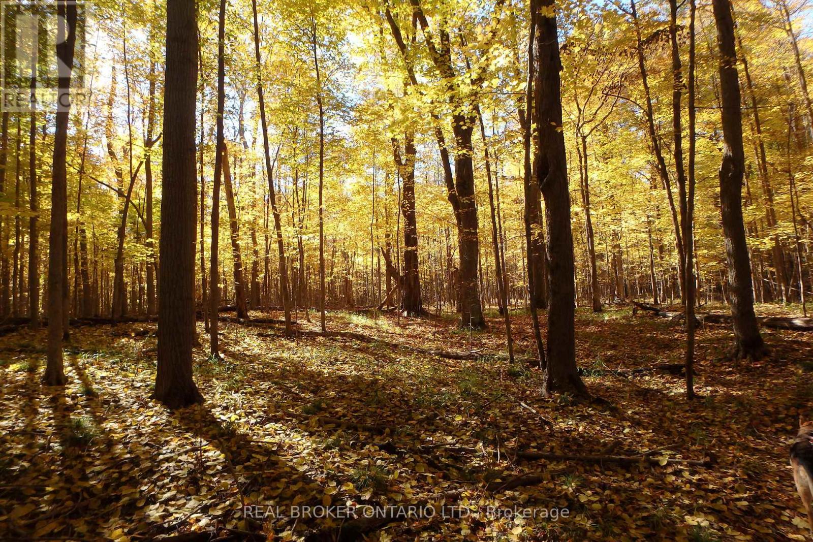 Fall on 20 private acres