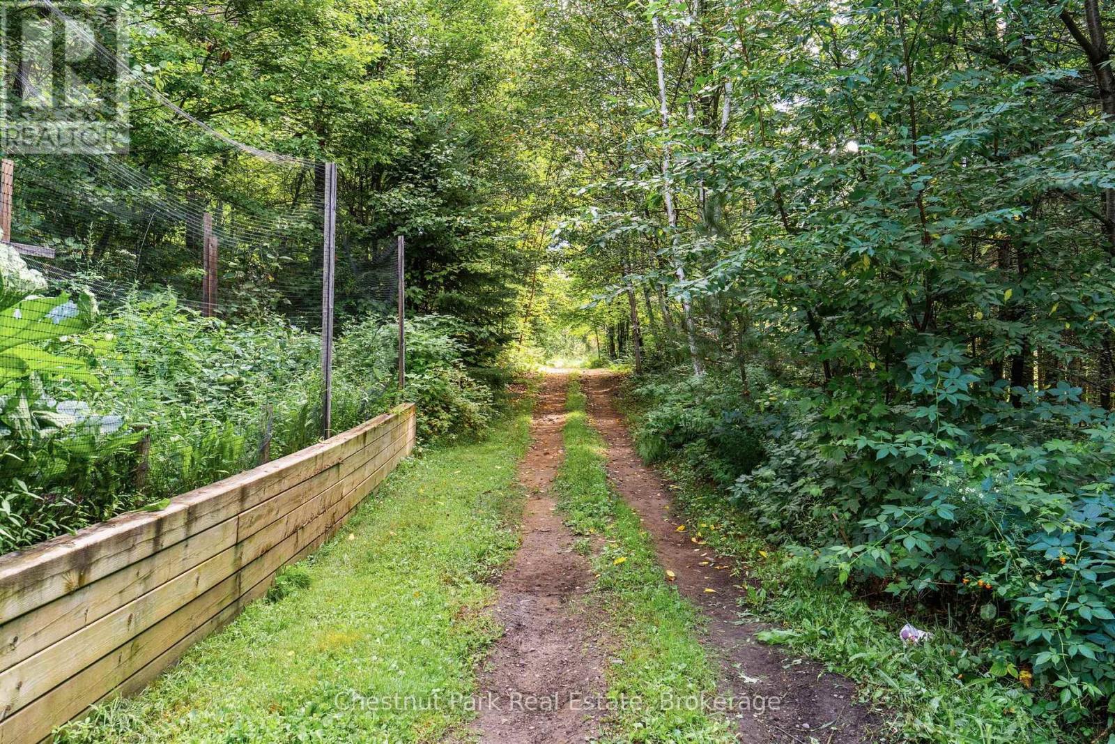 521 OLD MUSKOKA ROAD - 39
