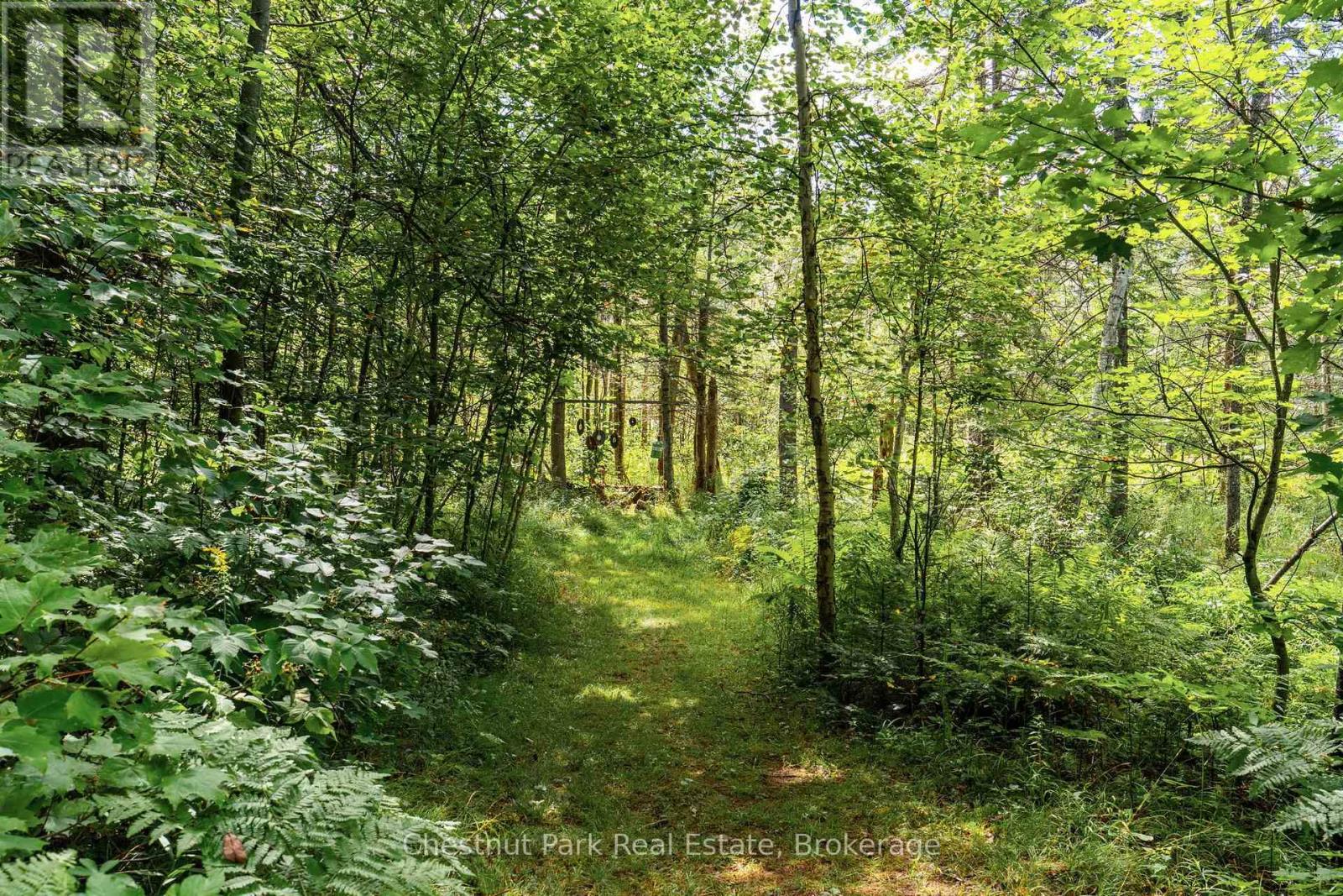 521 OLD MUSKOKA ROAD - 40