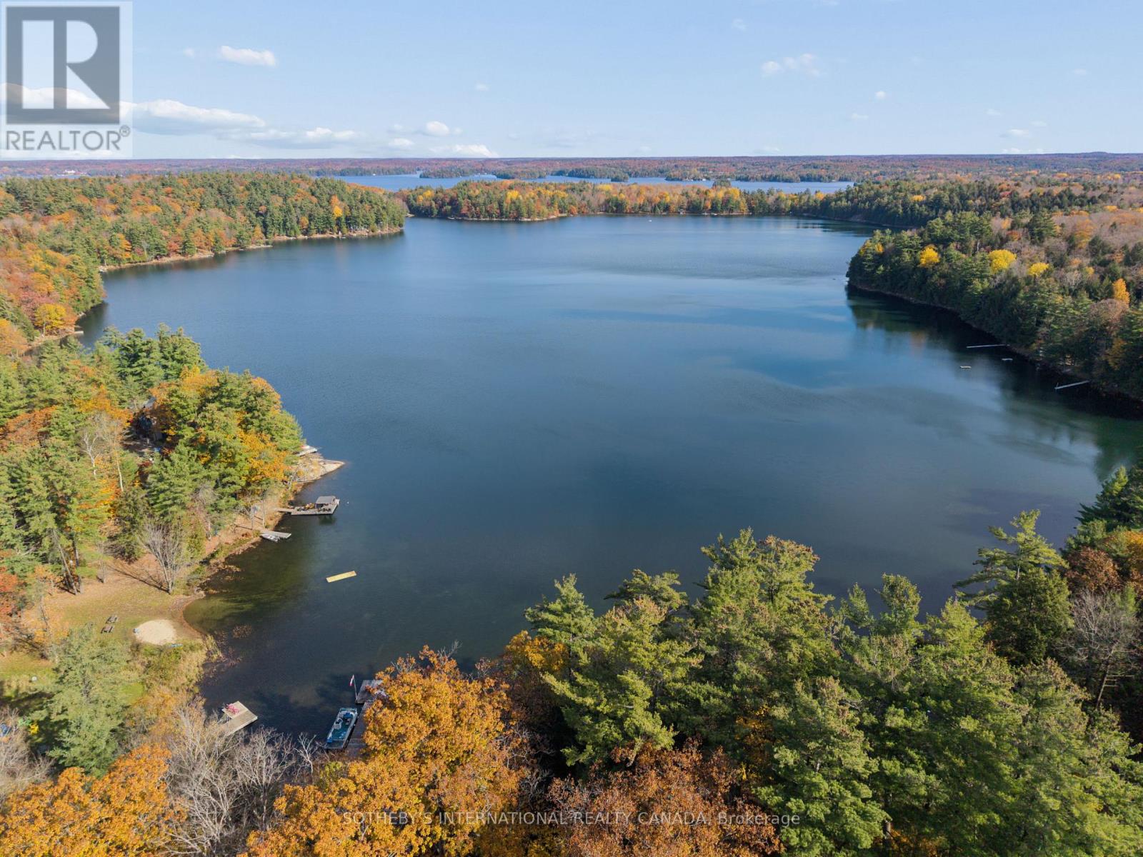 38 Joseph Street, Muskoka Lakes, ON photo 2