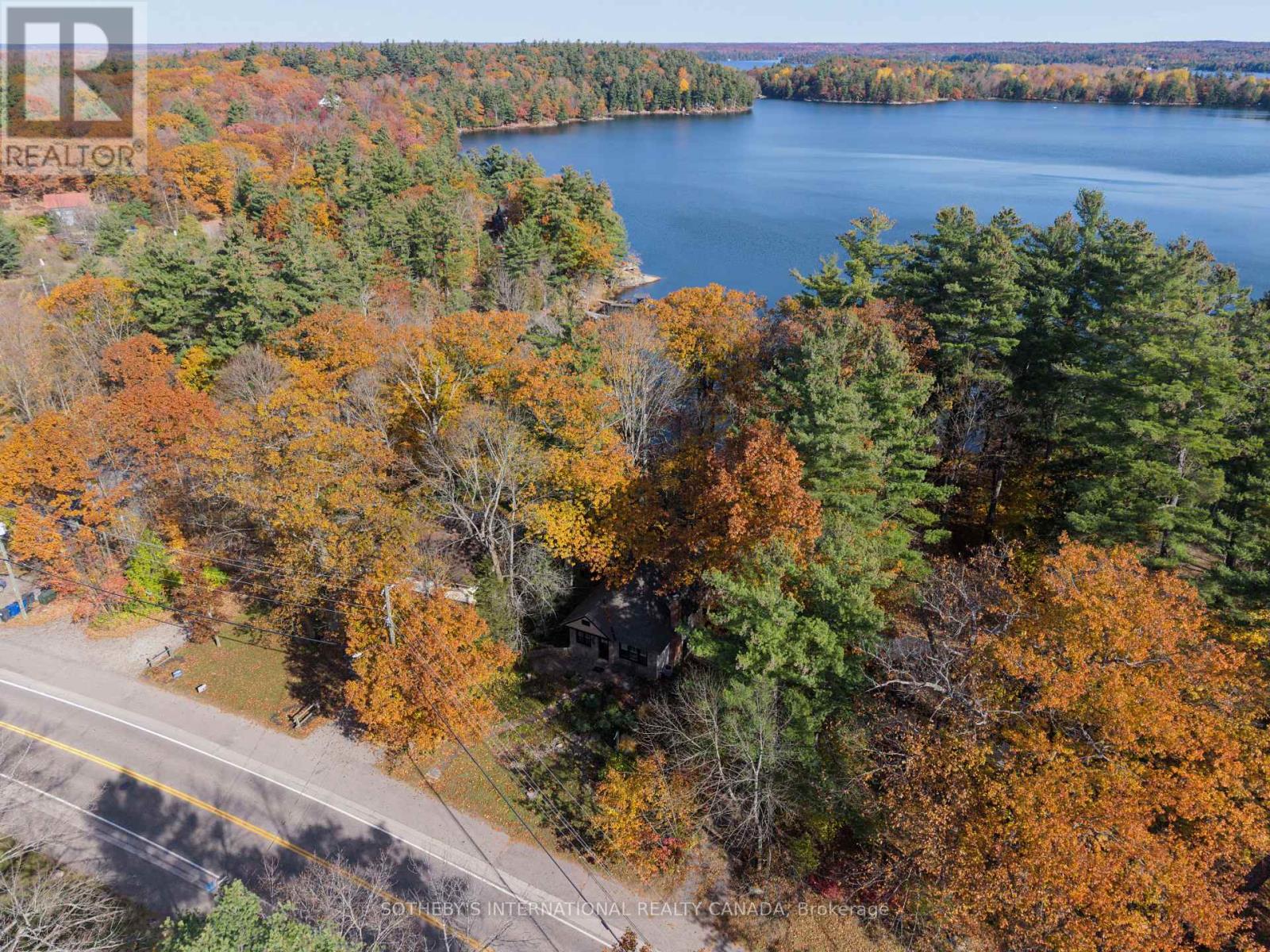 38 Joseph Street, Muskoka Lakes, ON photo 5