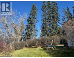 264017 176 Street W, Rural Foothills County, AB T1S2R1 Photo 35