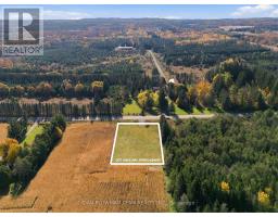 343 Pontypool Road, Kawartha Lakes, ON L0A1K0 Photo 8