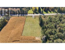 343 Pontypool Road, Kawartha Lakes, ON L0A1K0 Photo 9