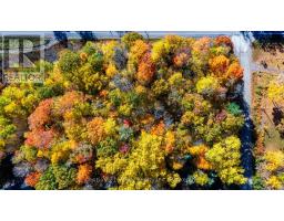 30b Legree Street, Greater Madawaska, ON K0J1H0 Photo 49