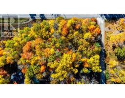 30a Legree Street, Greater Madawaska, ON K0J1H0 Photo 33