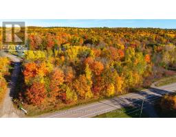 30a Legree Street, Greater Madawaska, ON K0J1H0 Photo 37