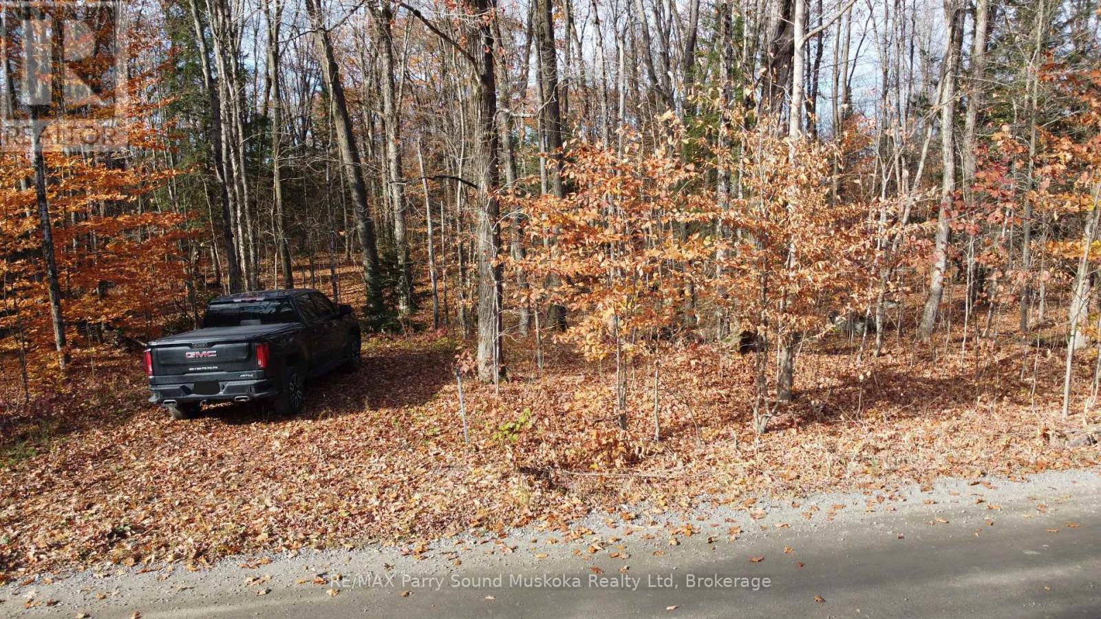 65 NORTH SANDY PLAINS ROAD, Seguin — photo 11