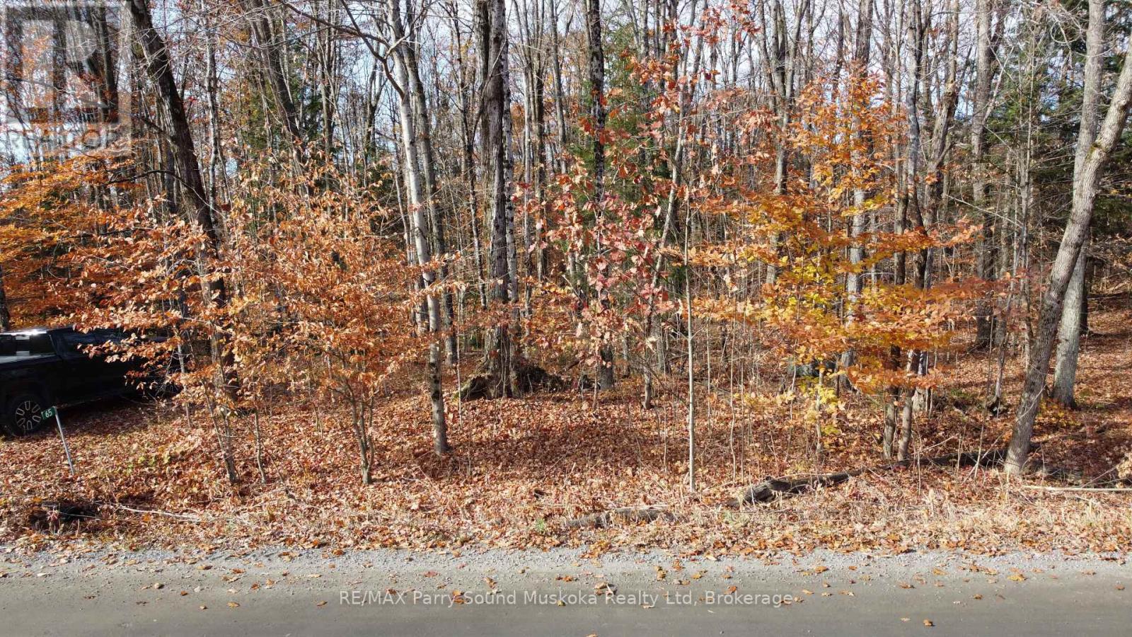 65 NORTH SANDY PLAINS ROAD, Seguin — photo 3