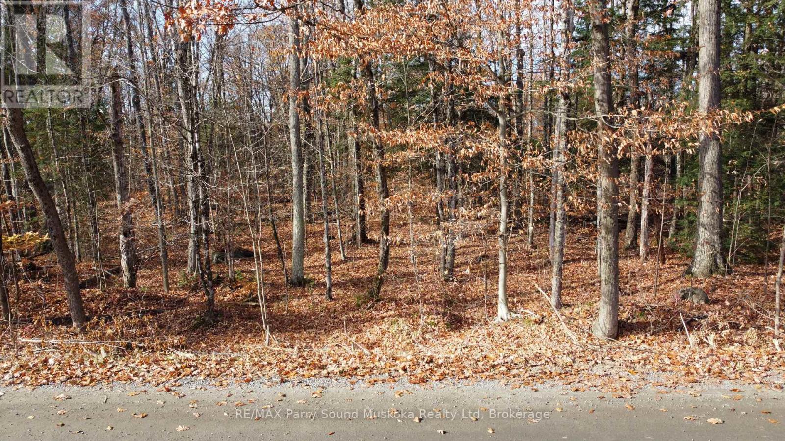 65 NORTH SANDY PLAINS ROAD, Seguin — photo 4