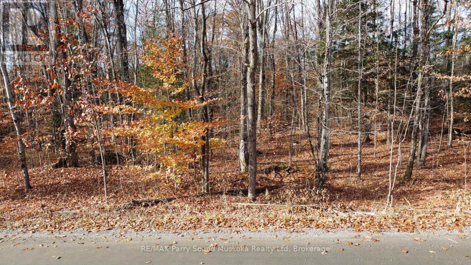65 NORTH SANDY PLAINS ROAD, Seguin — photo 5
