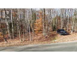 65 North Sandy Plains Road, Seguin, ON P2A2W8 Photo 13