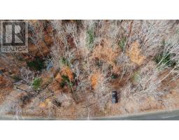 65 North Sandy Plains Road, Seguin, ON P2A2W8 Photo 14