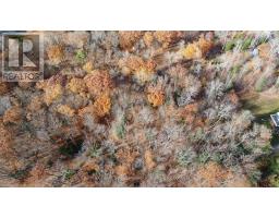 65 North Sandy Plains Road, Seguin, ON P2A2W8 Photo 15