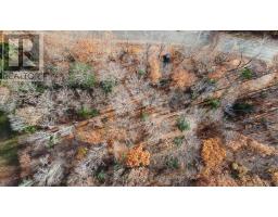 65 North Sandy Plains Road, Seguin, ON P2A2W8 Photo 18