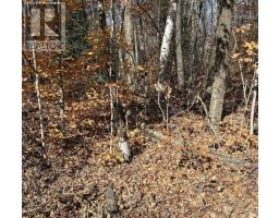 65 North Sandy Plains Road, Seguin, ON P2A2W8 Photo 7