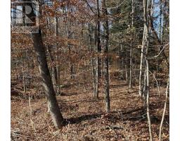 65 North Sandy Plains Road, Seguin, ON P2A2W8 Photo 8