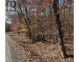 65 North Sandy Plains Road, Seguin, ON P2A2W8 Photo 9