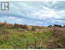 1198 Atchison Road, Otonabee South Monaghan, ON K0L1V0 Photo 10