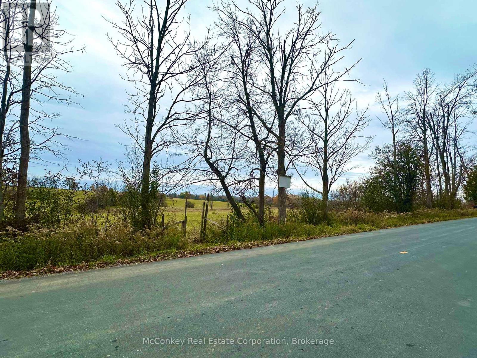 1243 Atchison Road, Otonabee-South Monaghan, ON photo 13