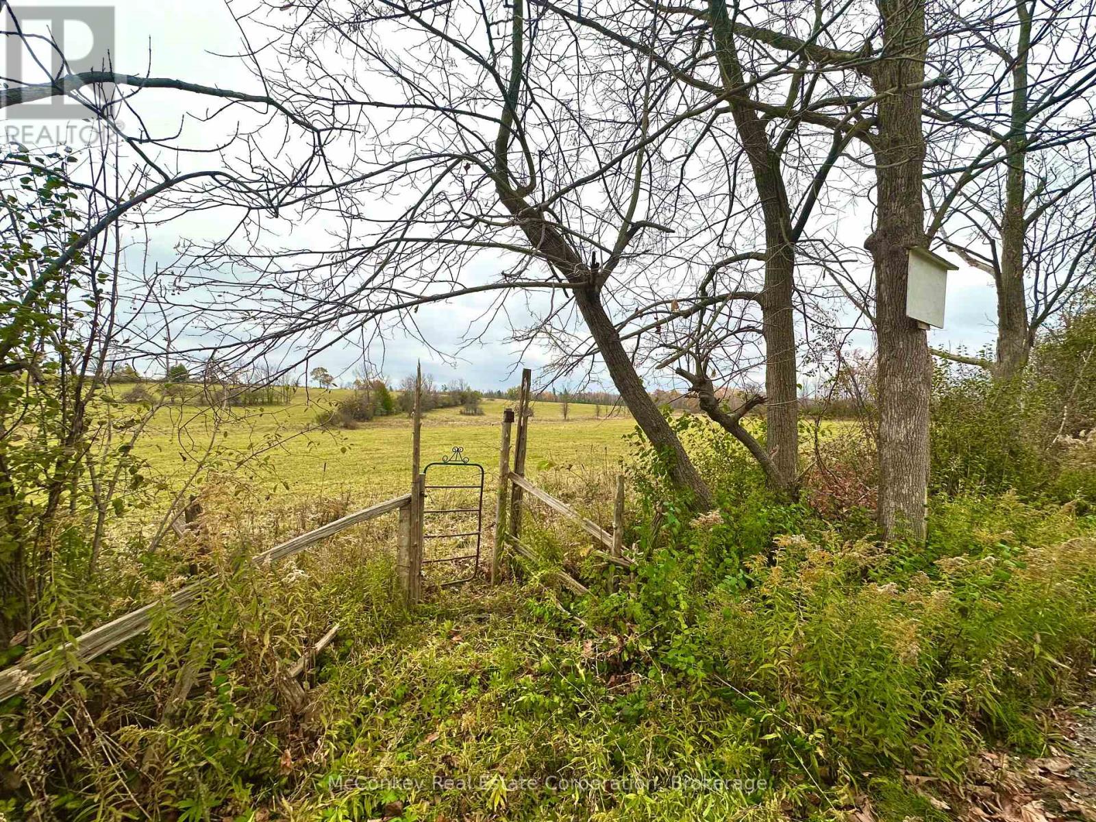 1243 ATCHISON ROAD, Otonabee-South Monaghan — photo 3