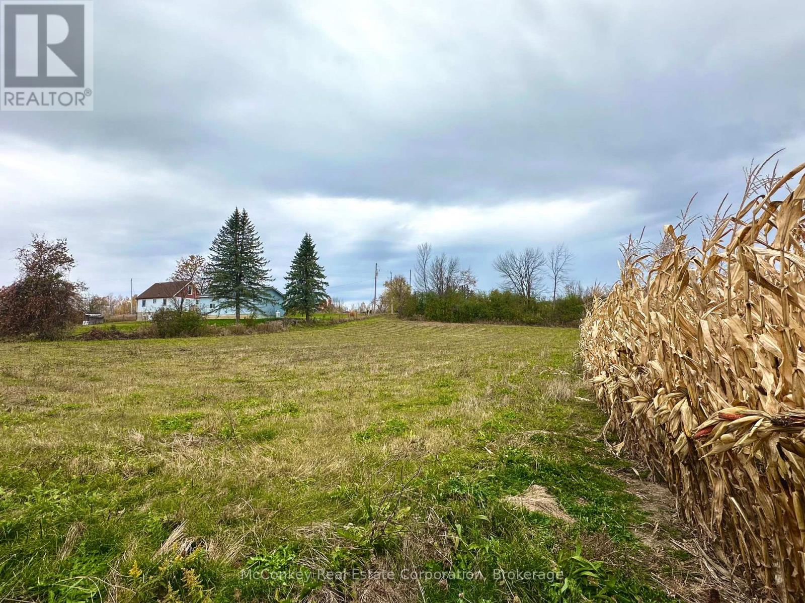 1231 Atchison Road, Otonabee-South Monaghan, ON photo 13