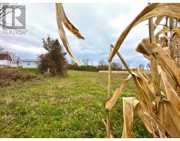 1231 Atchison Road, Otonabee South Monaghan, ON K0L1V0 Photo 10
