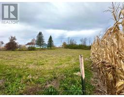1231 Atchison Road, Otonabee South Monaghan, ON K0L1V0 Photo 12