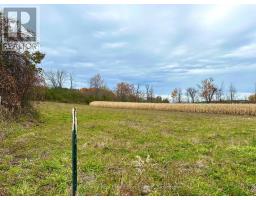 1231 Atchison Road, Otonabee South Monaghan, ON K0L1V0 Photo 8