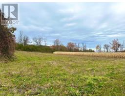1231 Atchison Road, Otonabee South Monaghan, ON K0L1V0 Photo 9