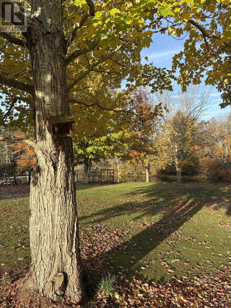 53 Mood Road, photo 41