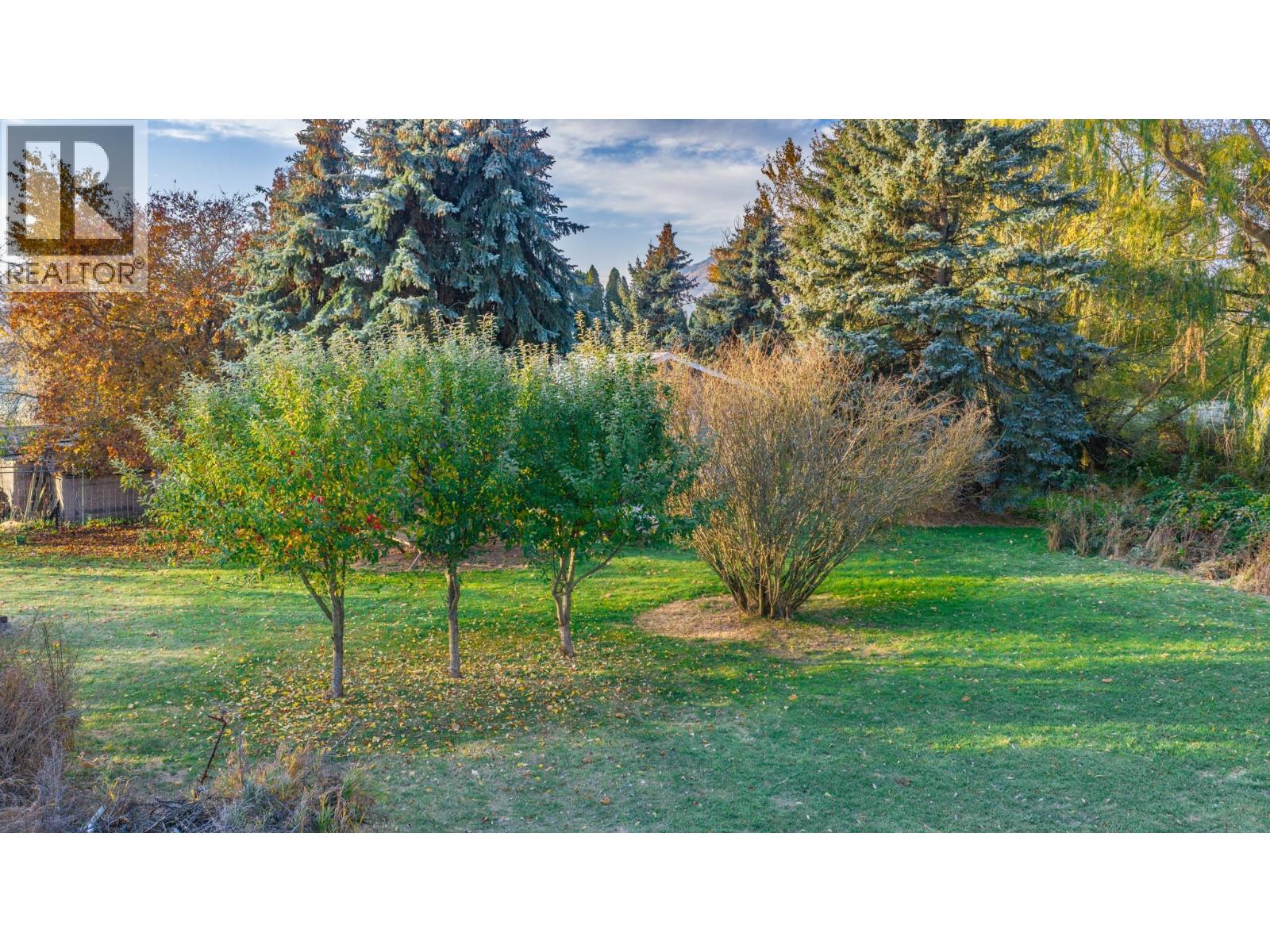 306 Kootenay River Road - 33