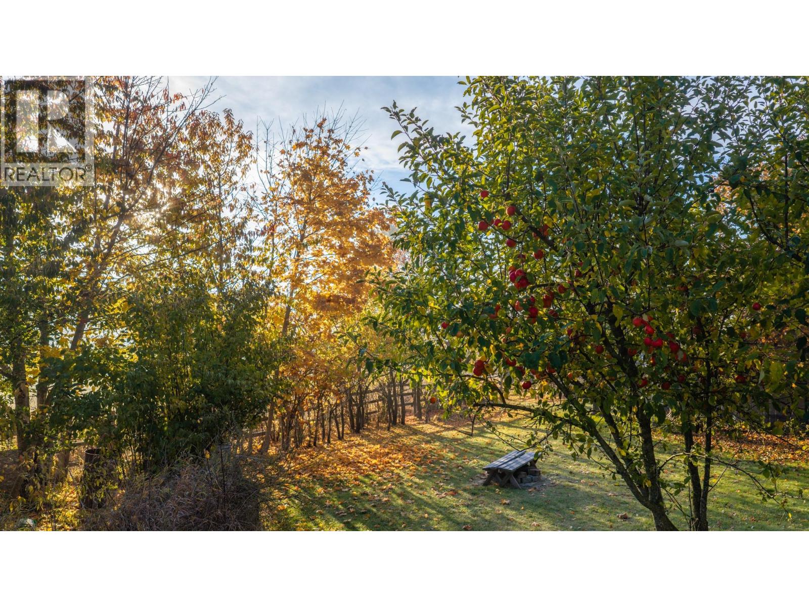 306 Kootenay River Road - 25