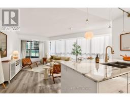 311 - 30 Grand Trunk Crescent, Toronto, ON M5J3A4 Photo 13