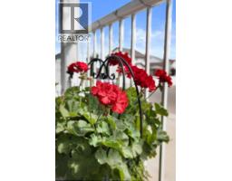 Other - 249 Somerset Way Se, Medicine Hat, AB T1B0B6 Photo 7